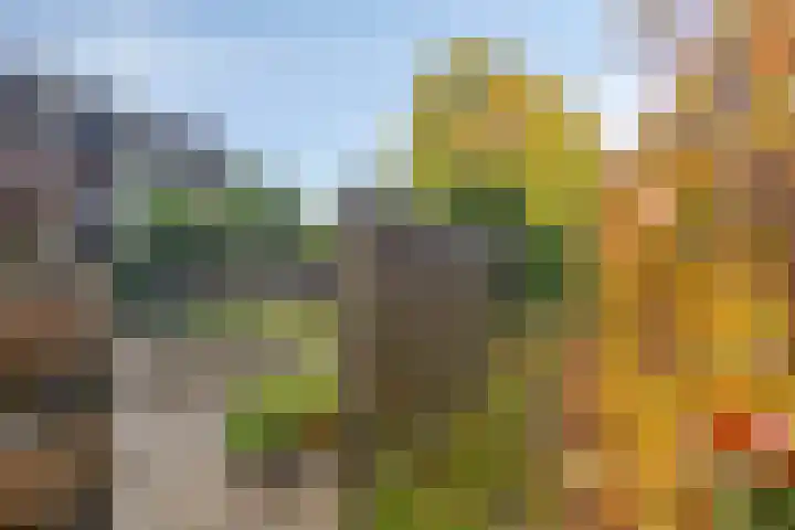 Multatuliweg 64 Muntendam thumbnail 32