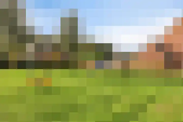 Multatuliweg 64 Muntendam thumbnail 33