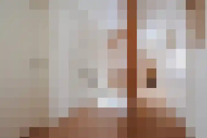 Munnikhoef 1 Zeeland thumbnail 25