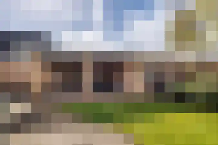 Munnikhoef 1 Zeeland thumbnail 47