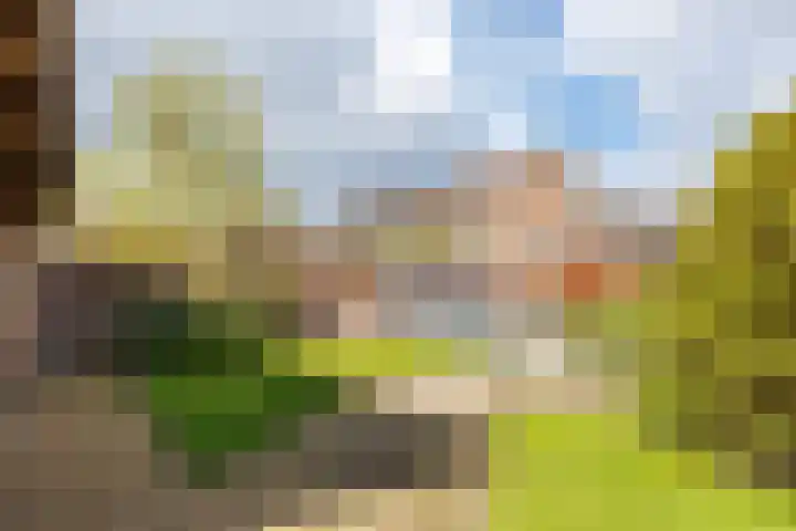 Munnikhoef 1 Zeeland thumbnail 48
