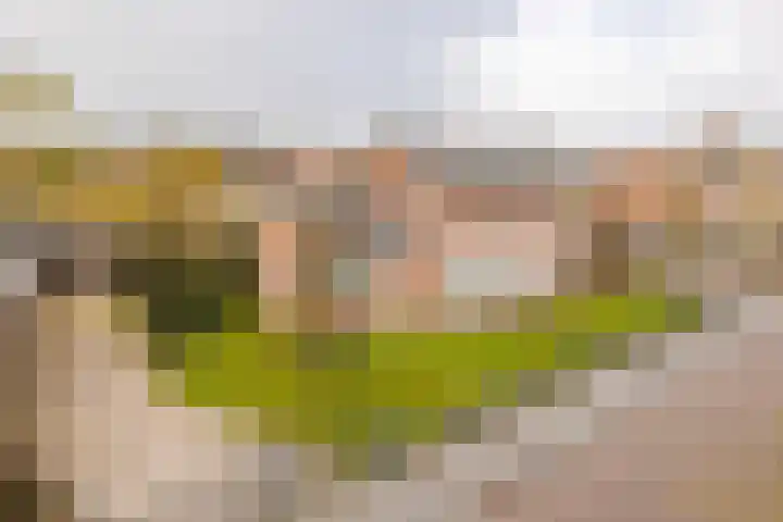 Munnikhoef 1 Zeeland thumbnail 50