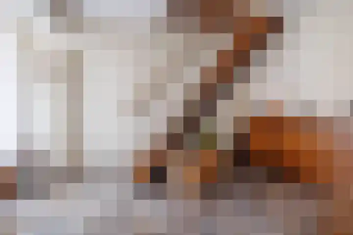 Munnikhoef 1 Zeeland thumbnail 7