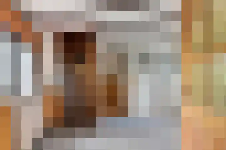 Munnikhofsestraat 31 Deest thumbnail 12