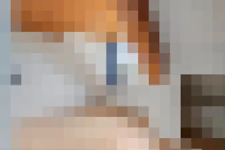 Munnikhofsestraat 31 Deest thumbnail 23