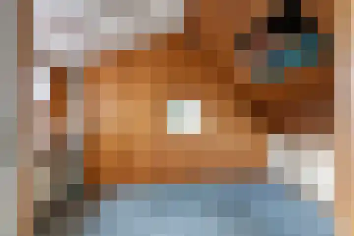 Munnikhofsestraat 31 Deest thumbnail 25