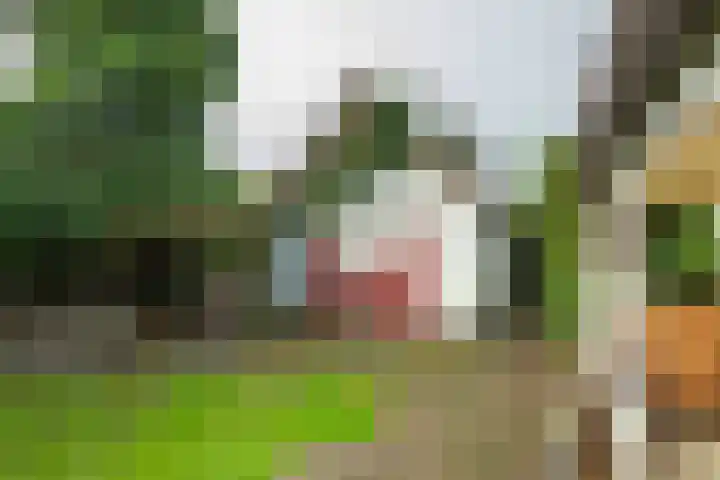 Munnikhofsestraat 31 Deest thumbnail 33