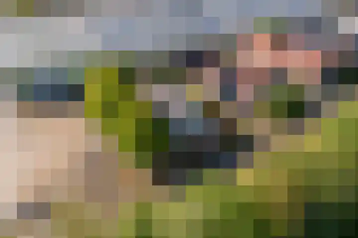 Munnikhofsestraat 31 Deest thumbnail 38