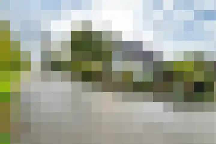 Munnikhofsestraat 31 Deest thumbnail 4