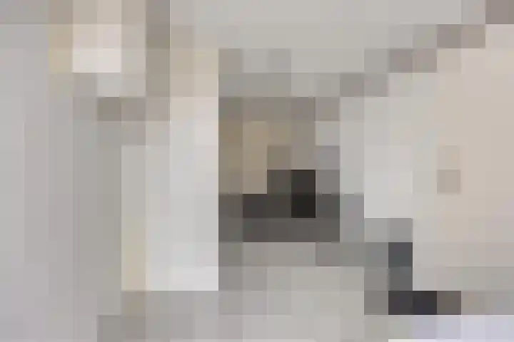 Munnikplaat 43 Urk thumbnail 15