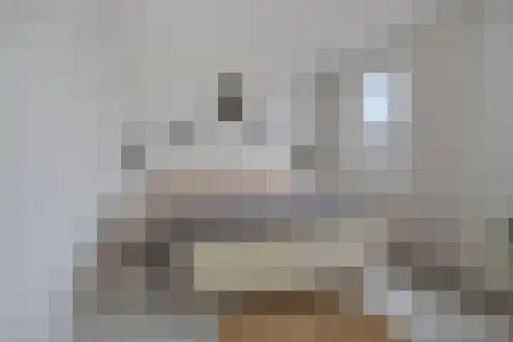 Munnikplaat 43 Urk thumbnail 19