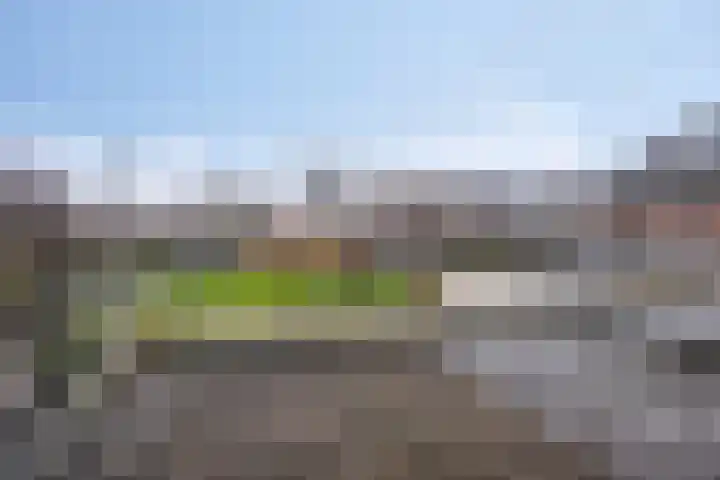 Munnikplaat 43 Urk thumbnail 24