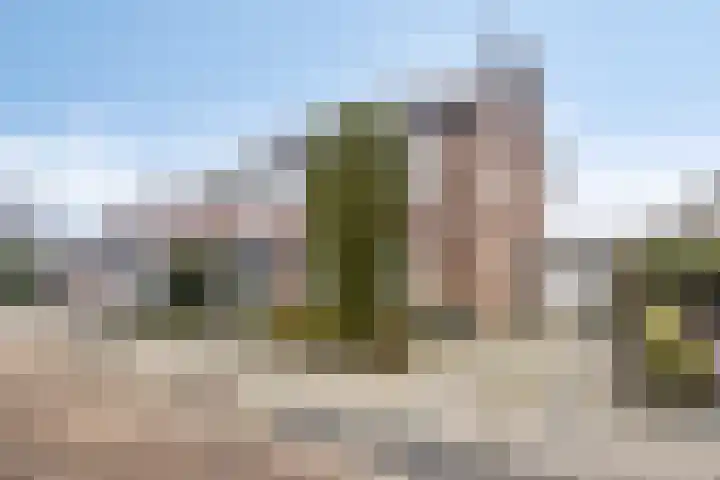Munnikplaat 43 Urk foto 3
