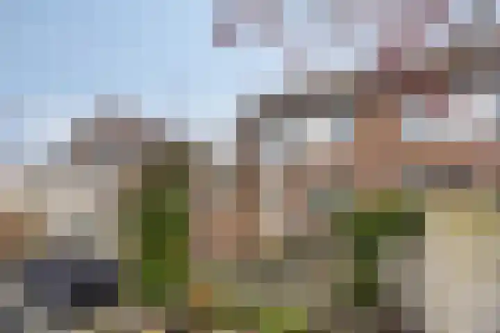Munnikplaat 43 Urk thumbnail 35