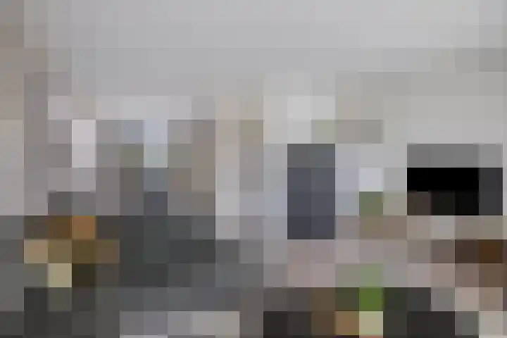 Munnikplaat 43 Urk thumbnail 9