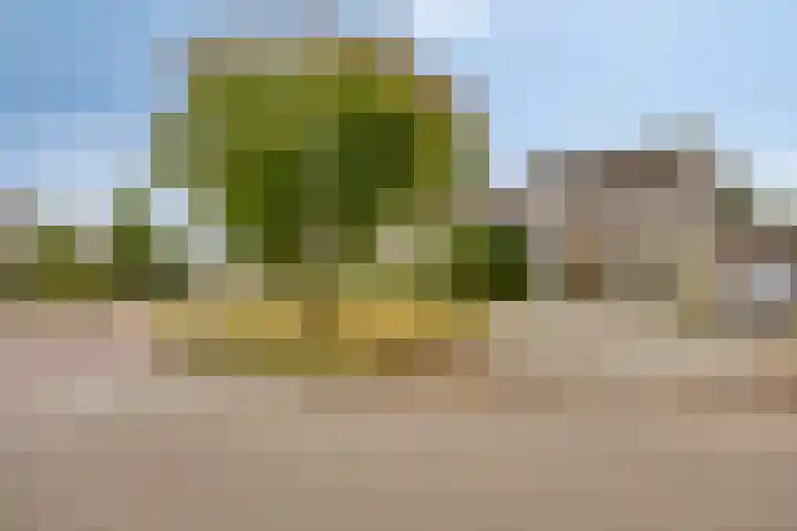 Munsel 80 Boxtel thumbnail 30