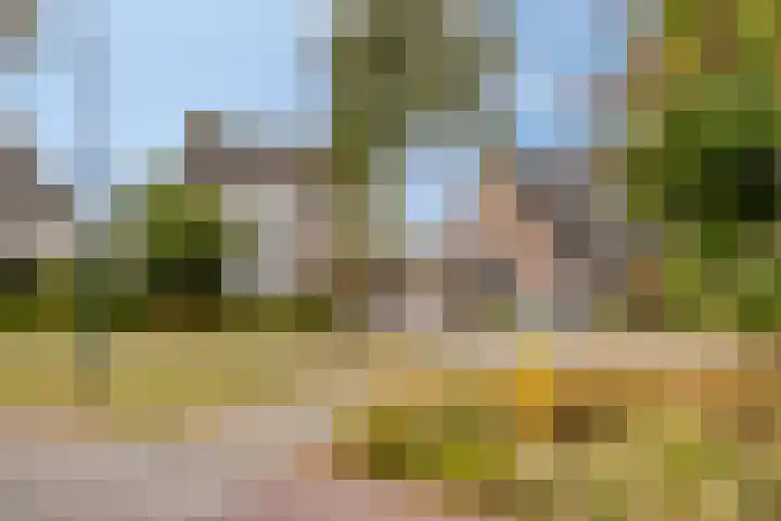 Munsel 80 Boxtel thumbnail 31