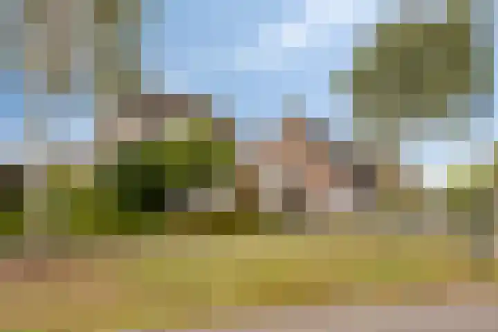 Munsel 80 Boxtel thumbnail 32