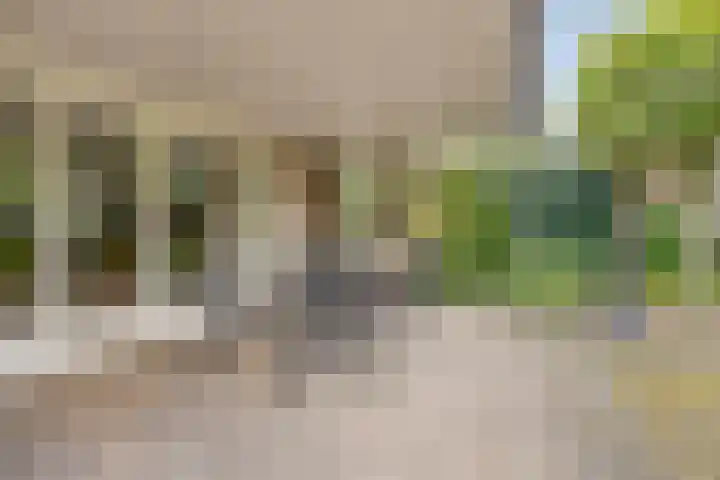 Munsel 80 Boxtel thumbnail 36