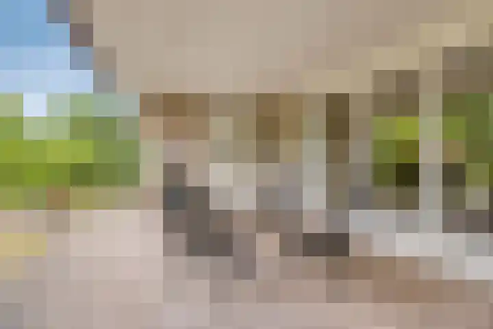 Munsel 80 Boxtel thumbnail 37