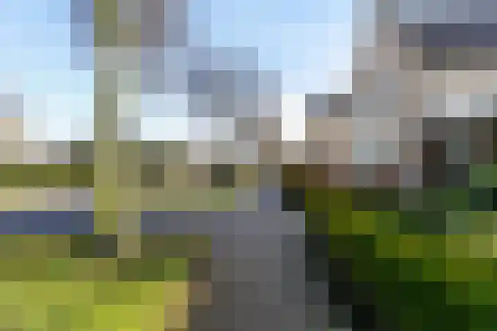 Munsel 82 Boxtel thumbnail 4