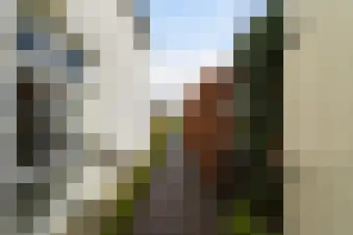 Munsel 82 Boxtel thumbnail 63