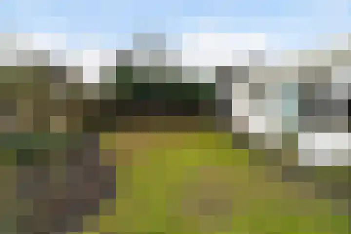 Munsel 82 Boxtel thumbnail 66