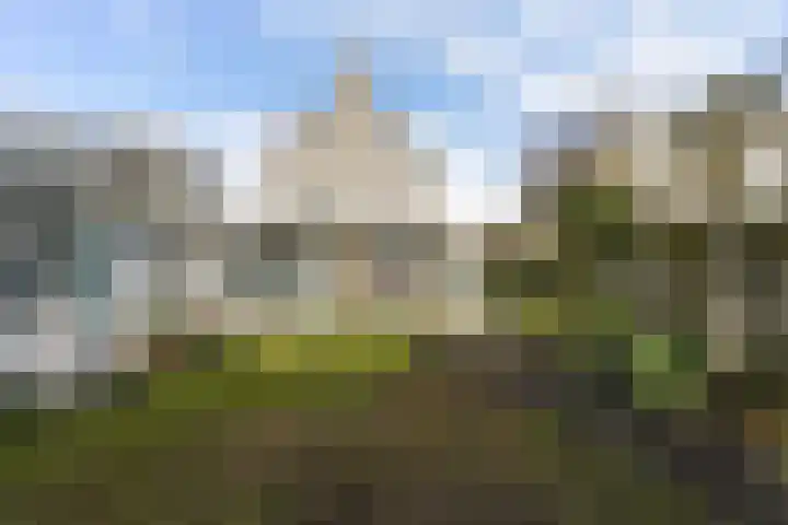 Munsel 82 Boxtel thumbnail 69