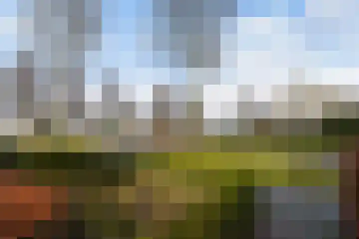 Munsel 82 Boxtel thumbnail 71