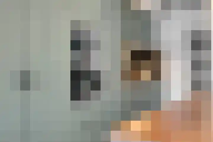Munsterkerk 43 Dussen thumbnail 15