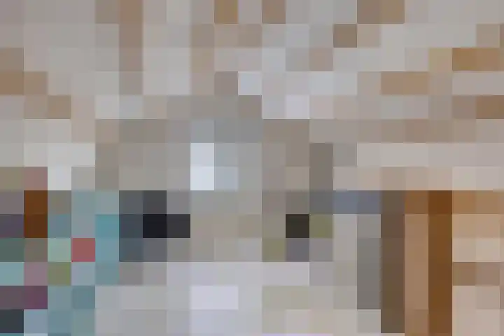 Munsterkerk 43 Dussen thumbnail 56