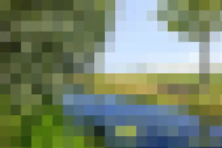 Munsterkerk 43 Dussen thumbnail 81