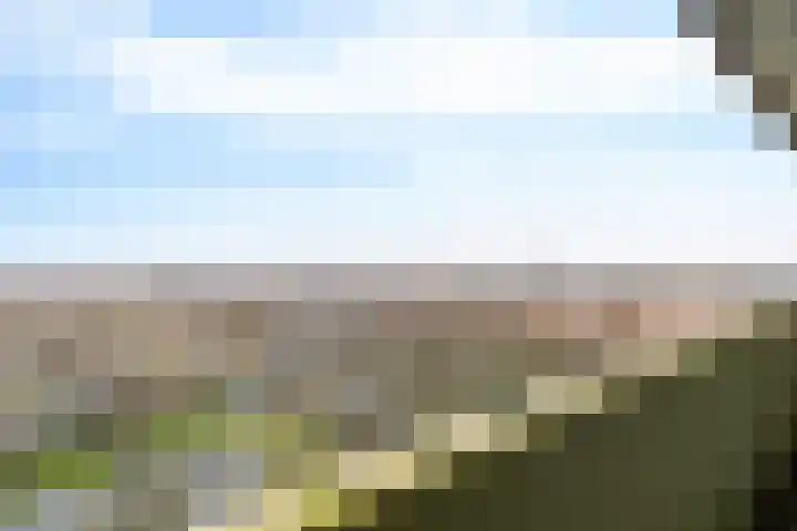 Munt 194 Heerenveen thumbnail 10