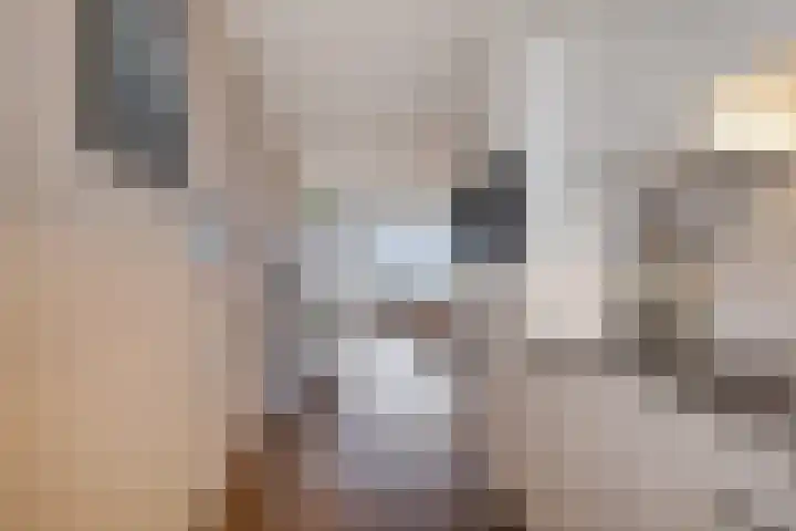 Munt 194 Heerenveen thumbnail 14
