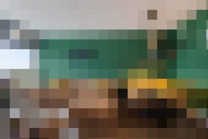 Munt 194 Heerenveen thumbnail 19