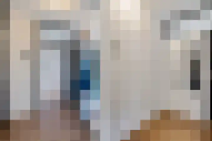 Munt 194 Heerenveen thumbnail 32