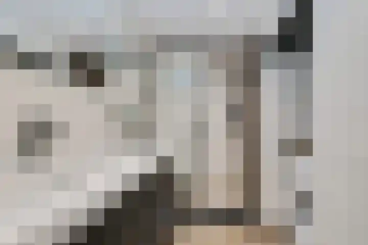Munt 194 Heerenveen thumbnail 4