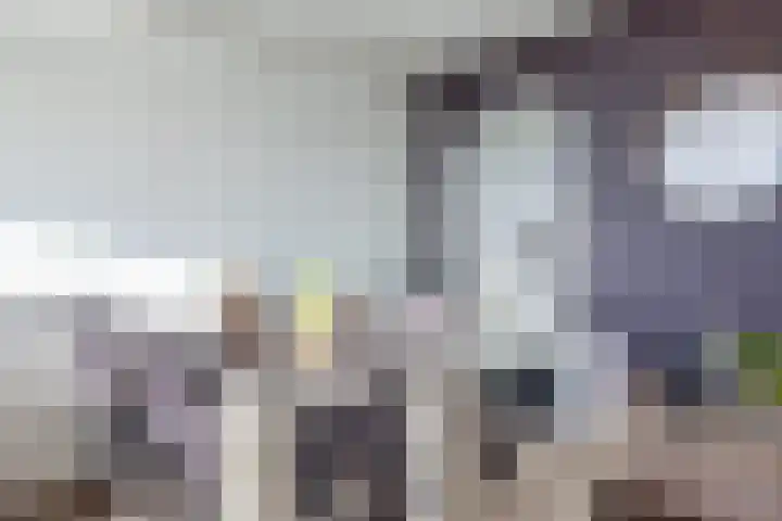 Munt 58 Heerenveen thumbnail 12