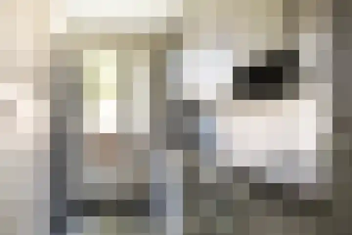 Muntinglaan 21 Groningen thumbnail 15
