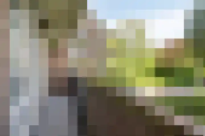 Muntinglaan 21 Groningen thumbnail 17