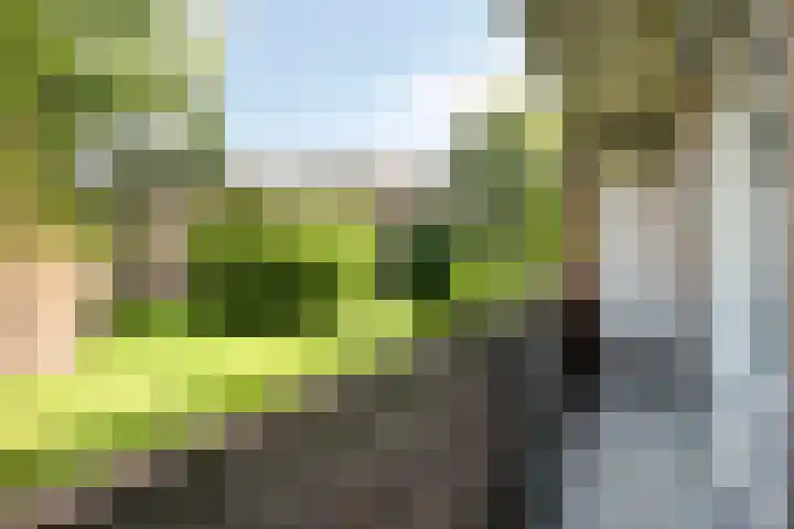 Muntinglaan 21 Groningen thumbnail 18