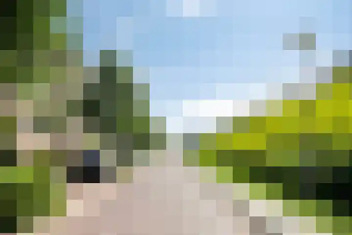 Muntinglaan 21 Groningen thumbnail 29