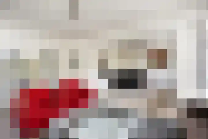 Muntinglaan 21 Groningen thumbnail 8