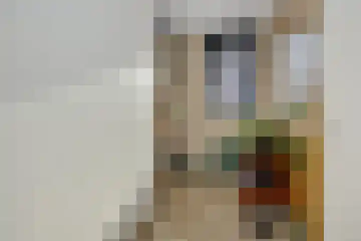 Muntmeester 145 Uden thumbnail 26