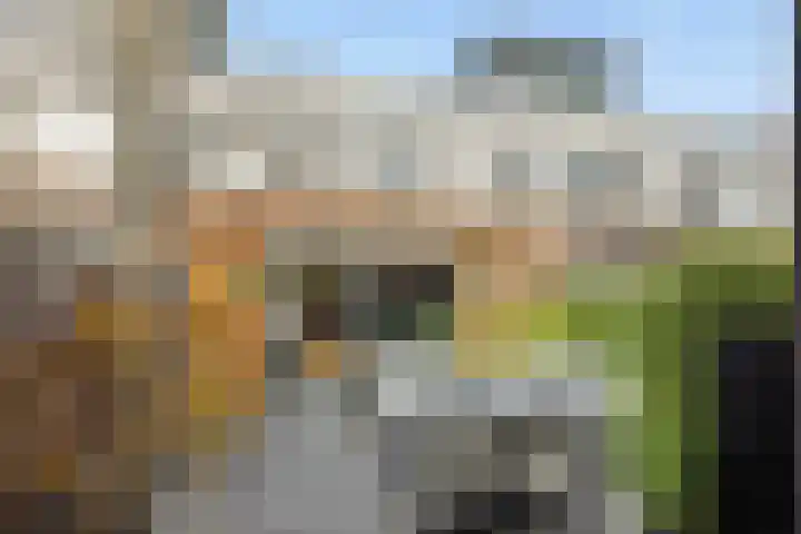 Muntmeester 145 Uden thumbnail 38