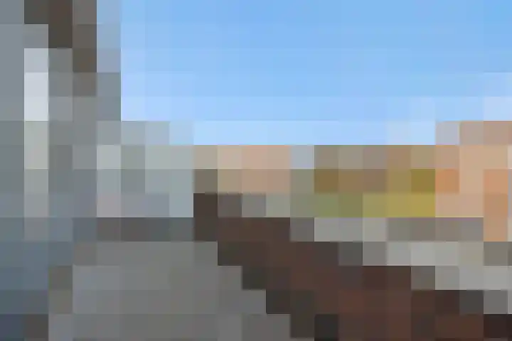 Muntmeester 145 Uden thumbnail 41