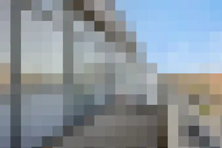 Muntmeester 145 Uden thumbnail 42