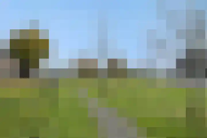 Muntmeester 145 Uden thumbnail 45