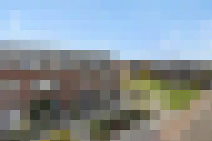 Muntmeester 145 Uden thumbnail 46
