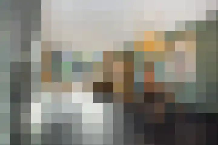 Muntmeester 145 Uden thumbnail 7